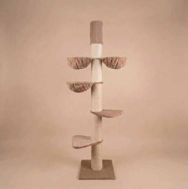 Cat Tree Maine Coon Tower Plus (Cappuccino Teddy) 225-245 cm