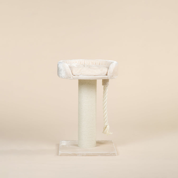 Cat Tree Chartreux (Cream)