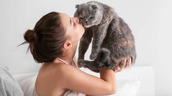 Back from holiday? Here are 3 steps to help your cat settle back into your routine