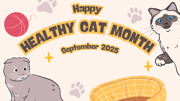 It’s that time again: Happy Healthy Cat Month
