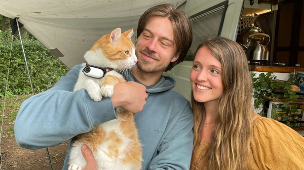 A Day in the Life of Ros the Adventure Cat