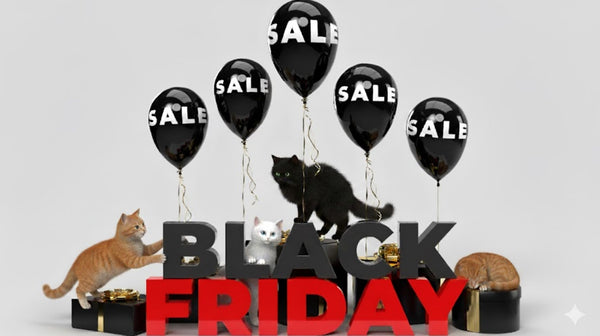 Smart shopping during Black Friday: 3 tips for cat parents