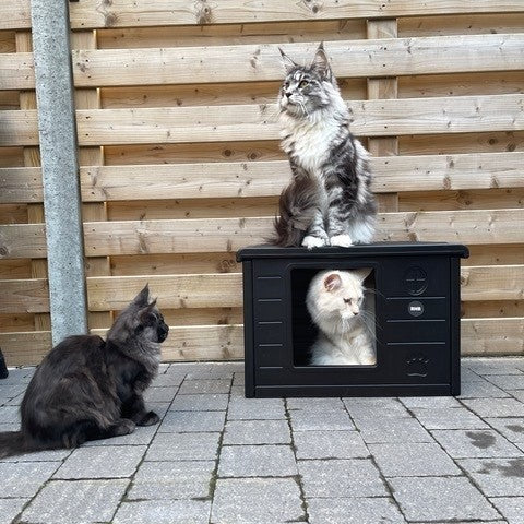Cat House Villa de Luxe for Outside and Inside (Blackline)