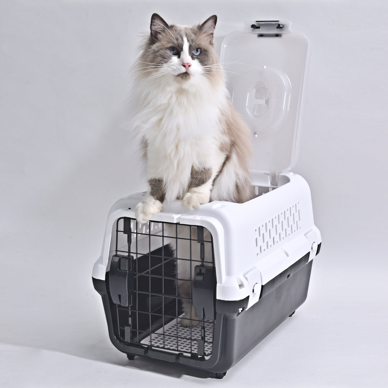 Travel basket with steel door for cats and dogs (Black) 50 x 50 x 35 cm