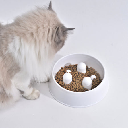 Slowfood Anti-Gulping Bowl Cat & Dog (White) - Small Ø20cm