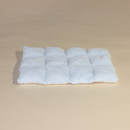 Blue Teddy Cushion, For Lounge Lying Area