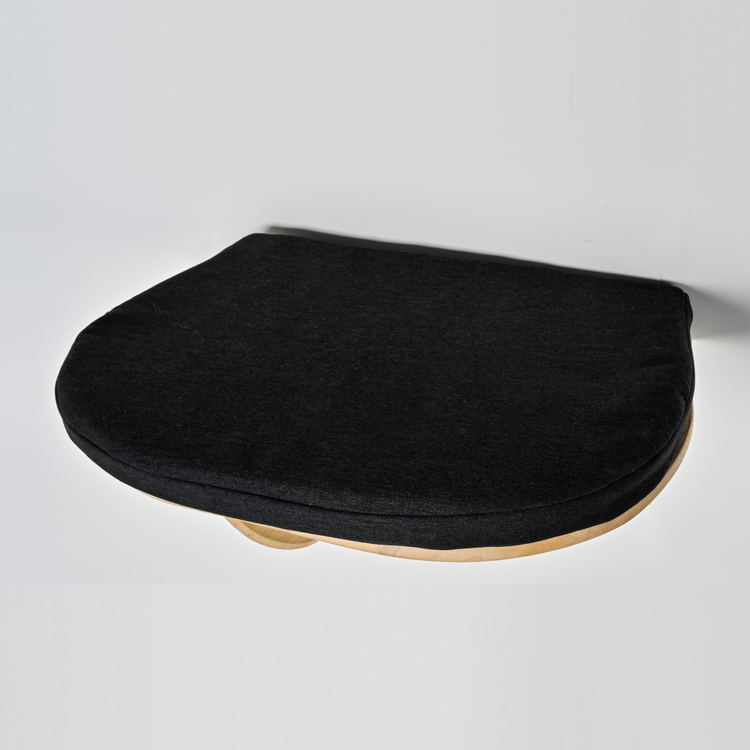 Wall-mounted Cat Climbing Wall - Luxury Cat Bed (Black)