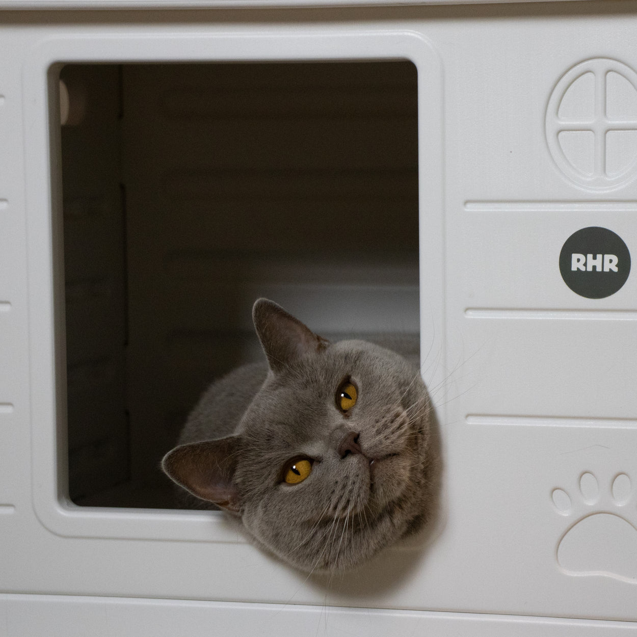 Cat House Villa de Luxe for Outside and Inside (White)