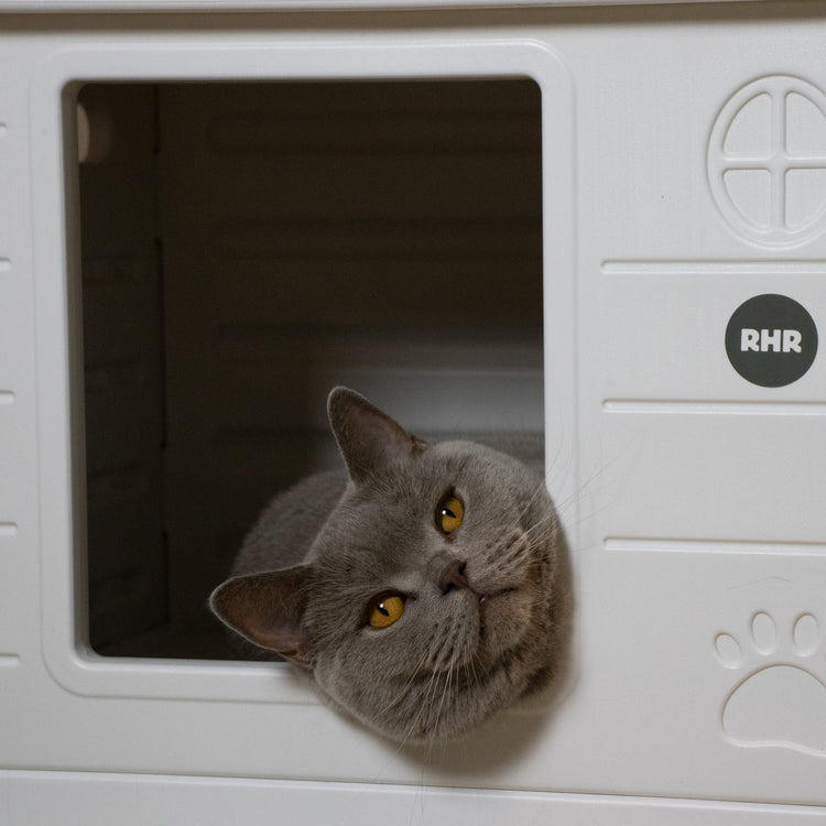 Cat House Villa de Luxe for Outside and Inside (White)