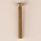 Screw M8 x 60 mm