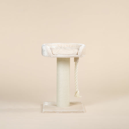 Cat Tree Chartreux (Cream)