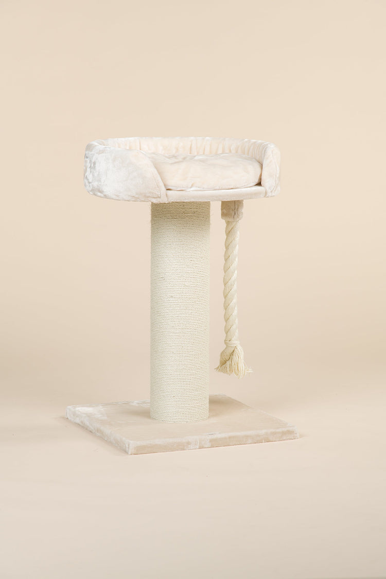 Cat Tree Chartreux (Cream)