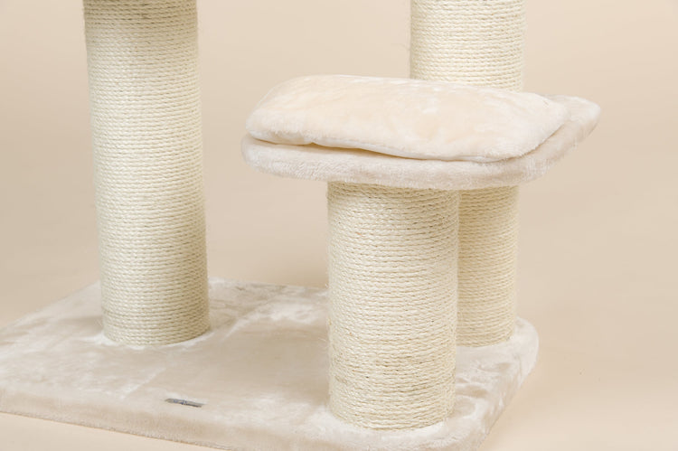 Middle Panel Cream, Devon Rex 50 x 35 cm