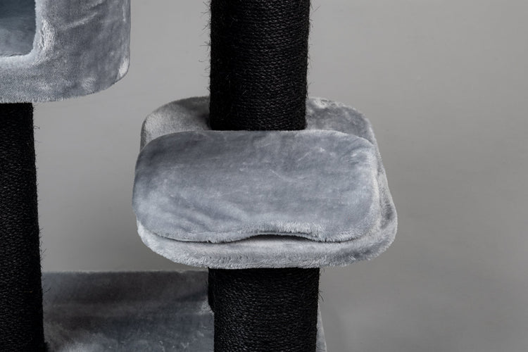 Middle Panel Light Grey, Devon Rex 50 x 35 cm