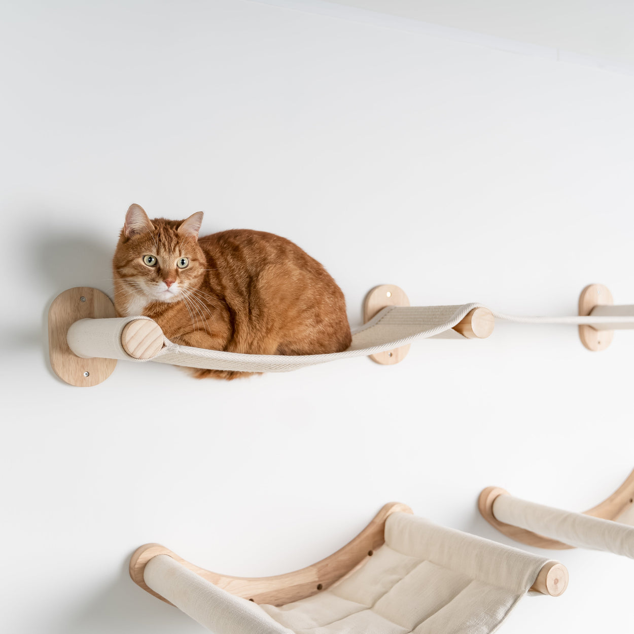 Cat Climbing Wall - Wall Bridge (Beige)