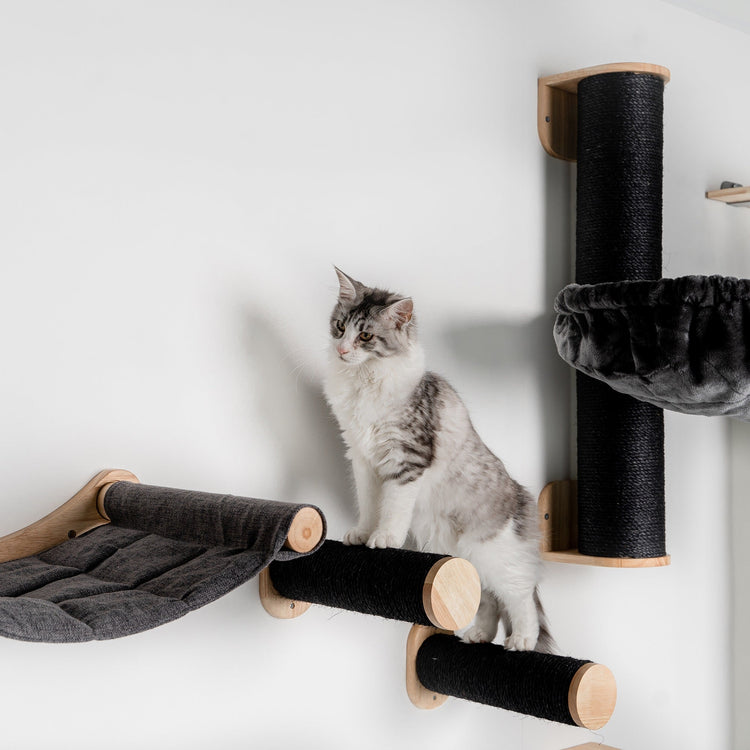 Cat Climbing Wall - Wall Sisalpole Set (Blackline)