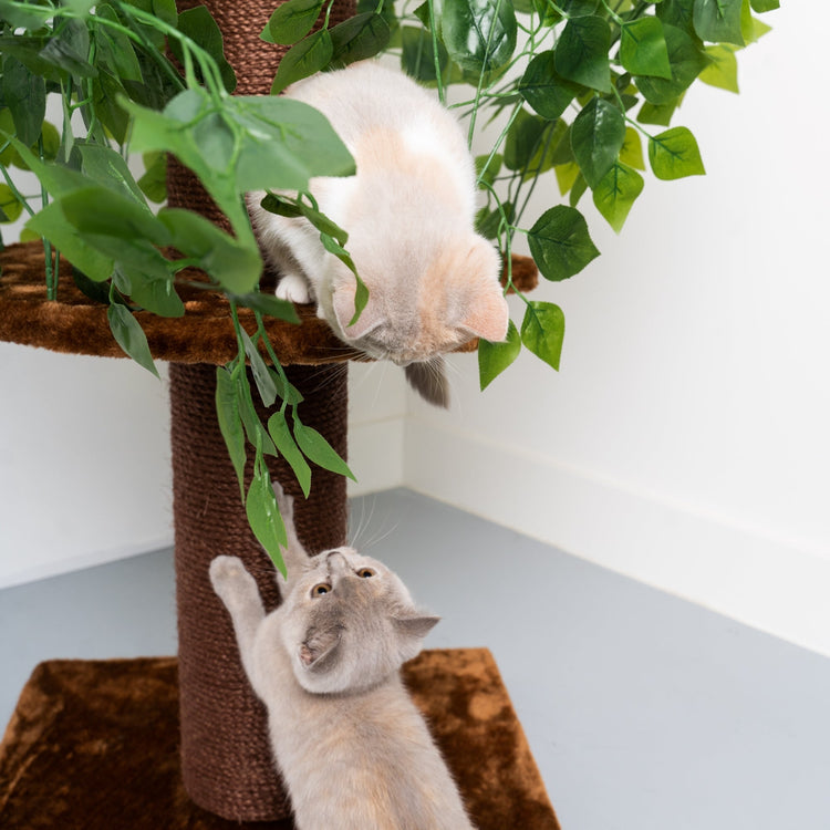 Design Cat Tree Natural Leaves (Brown)