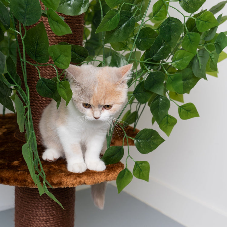 Design Cat Tree Natural Leaves (Brown)