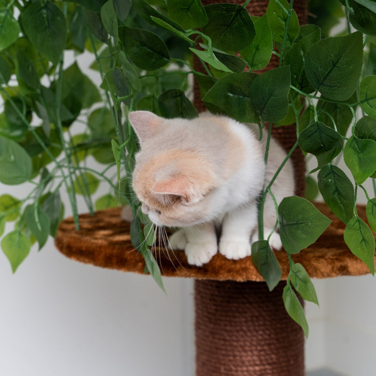 Design Cat Tree Natural Leaves (Brown)